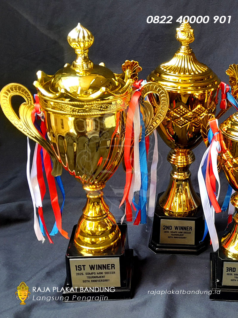 Piala Sepak Bola Sompo